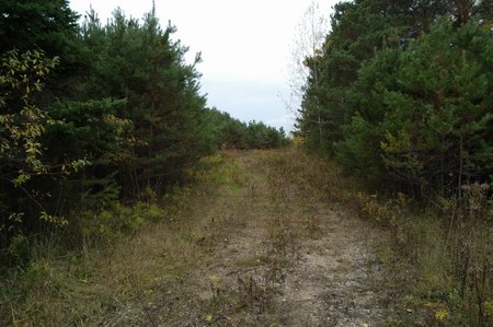 Cheboygan Drive-In Theatre - Driveway (newer photo)